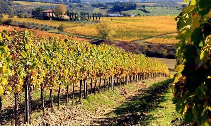Wine tasting in Chianti, visiting Castellina, in Tuscany from Rome