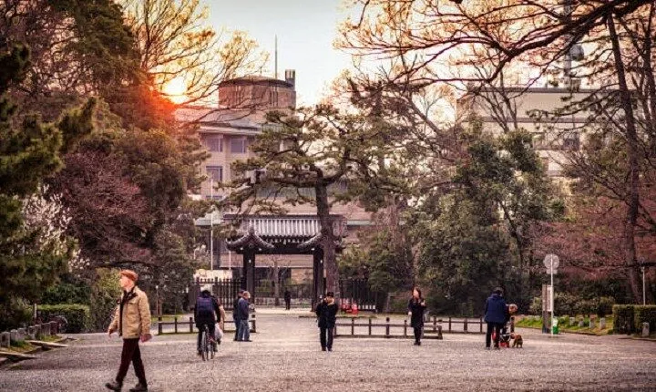 Kyoto Private Tour by Licensed Native Japanese Guide 