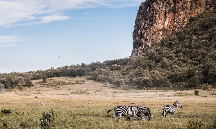 Day Trip to Hell's Gate National Park and Lake Naivasha