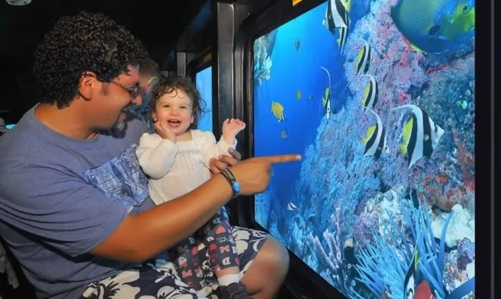 Panorama Semi Submarine Tour & Snorkeling Sea Trip- Hurghada