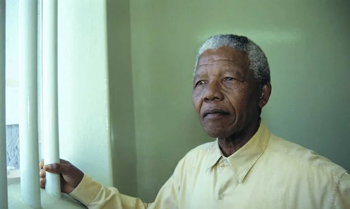 Pre-Booked Robben Island & Table Mountain tour from Cape Town