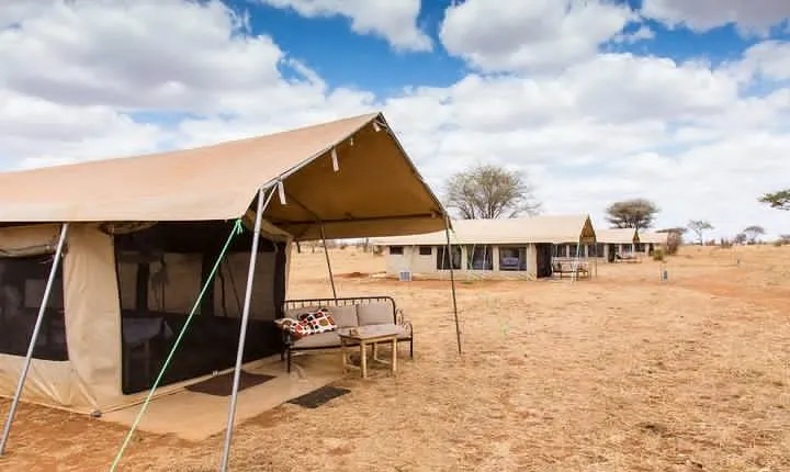 2-Day Wildlife & Lodge Safari in Tanzania