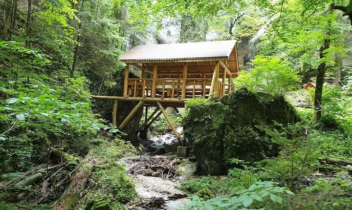 Climbing through the Canyon, Zipline and Hiking in Carpathian 