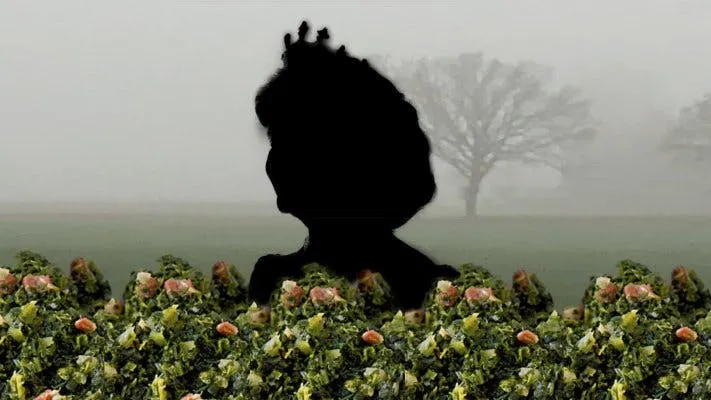 City rally in Oldenburg "The disappeared kale queen"