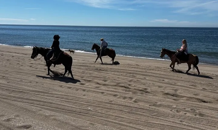 Horseback riding & Temazcal combo with lunch and mezcal tour