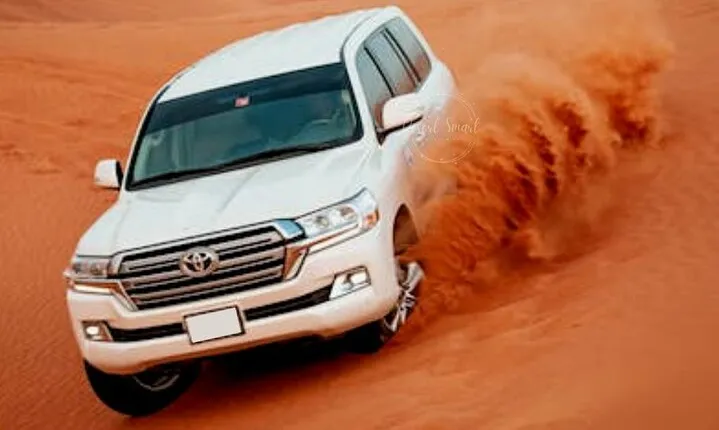 Exclusive Private Evening Desert Safari with BBQ Dinner In Dubai