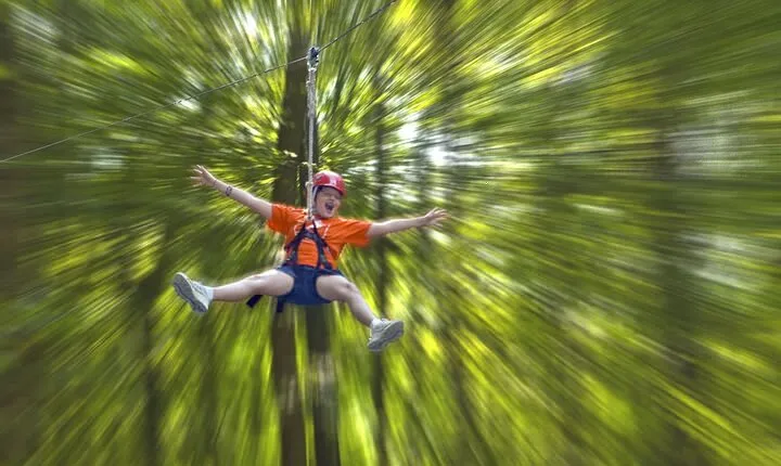 Wetland Zip Tour