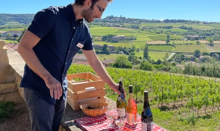 Golden stones Beaujolais Wine Tour with Tastings from Lyon