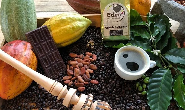 Eden Mocca Tour