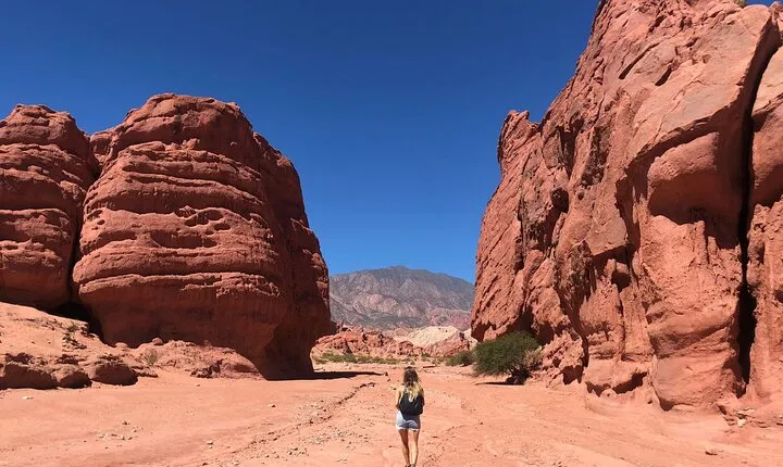 The Calchaqui Valley Winery and Scenery Tour in Cafayate