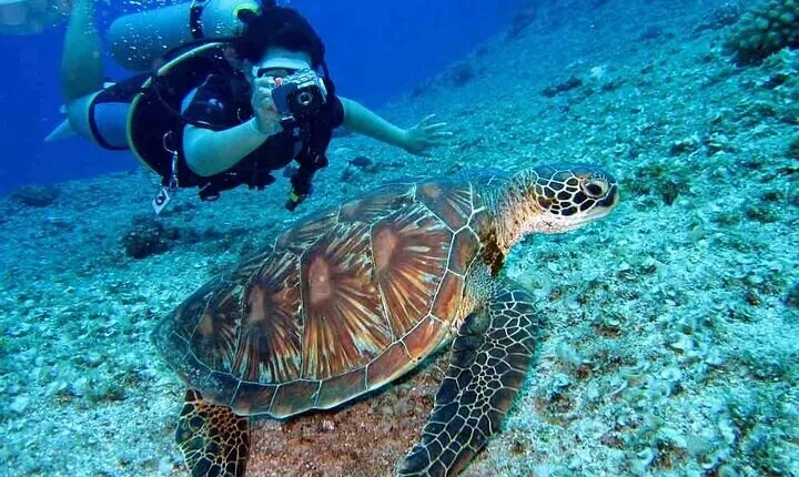 3 Hour Scuba Diving Experience in Dubai with transfer 