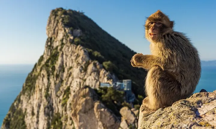 Gibraltar and Puerto Banús Tour from Málaga