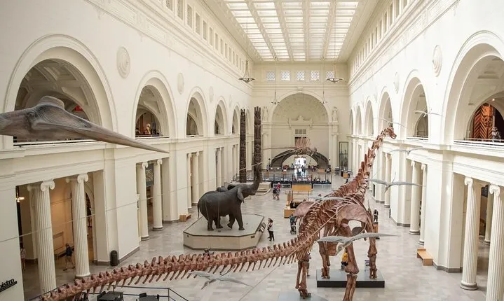 Field Museum Basic Admission Ticket Plus VR Experience