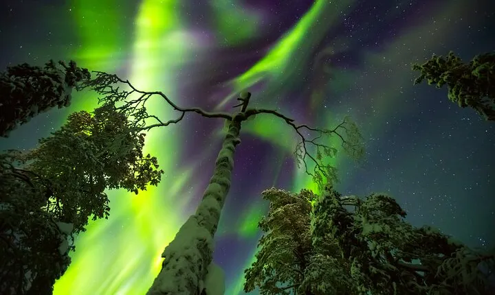 Northern Lights Hunt & Photography Experience