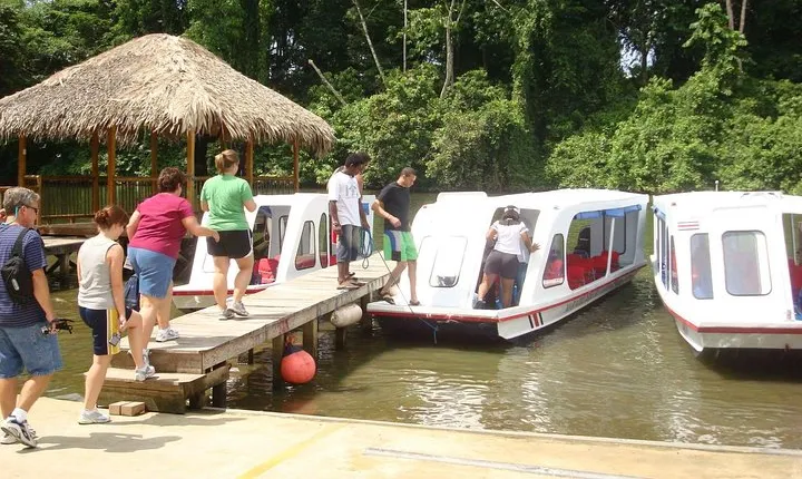 Nature History Tour. Tortuguero Canal & Cahuita National Park Shore Excursion