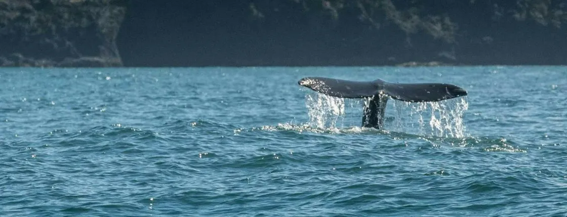Self-Guided Driving Tour to Explore the Oregon Coast