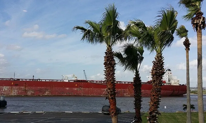 San Jacinto State Park and the Battle of San Jacinto Tour