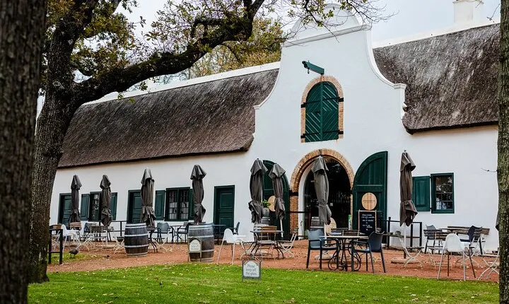 Kirstenbosch Botanical Garden and Constantia Wine Valley
