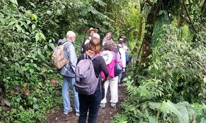 Mindo Bird Watching Tour from Quito
