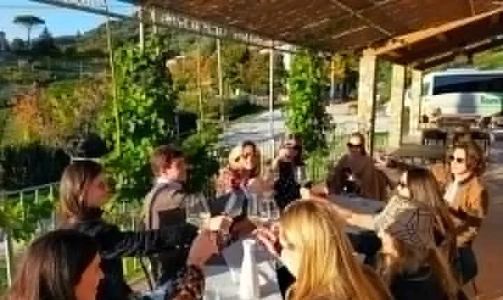 Private wine tour on the magical hills of Lucca (2 wineries)