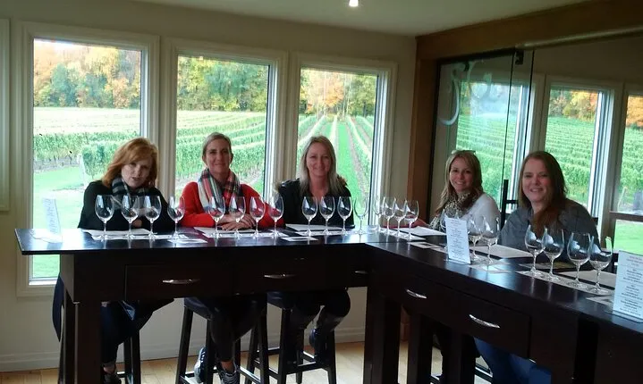 Visit Niagara Falls and experience a VIP Wine Tour