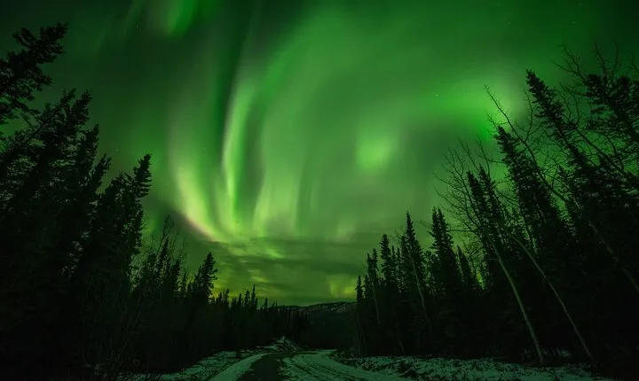 Fall Aurora Mushing Cart Ride Bucket List Adventure