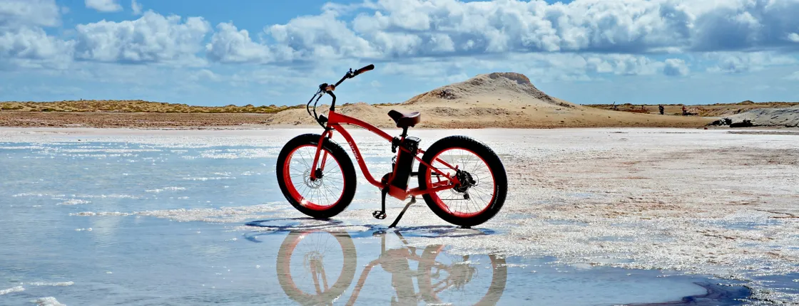 Electric bikes