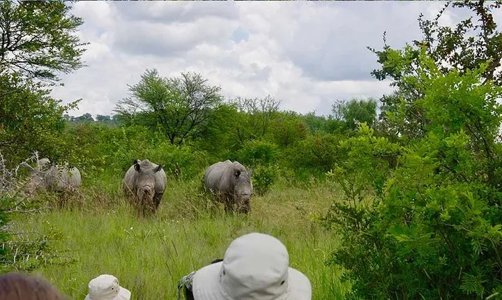 10 Day Zimbabwe and Chobe NP Tour