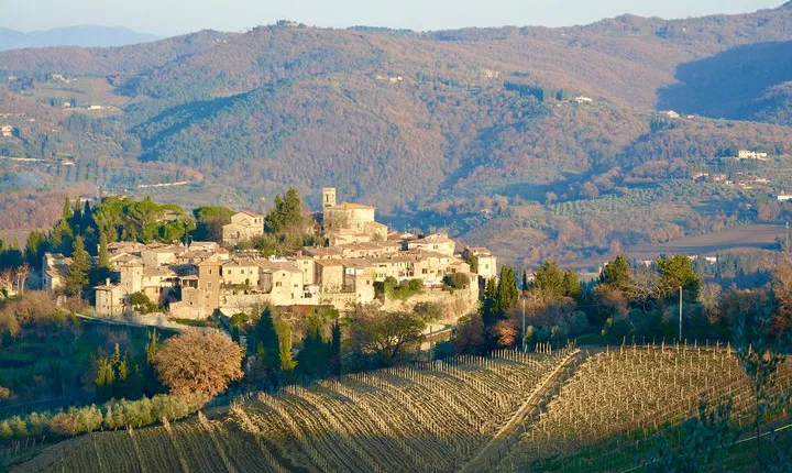 Private Tour: Chianti Region Tour by Minivan
