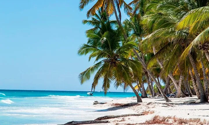 Catamaran Cruise to Saona with Lunch and Natural Swimming Pool