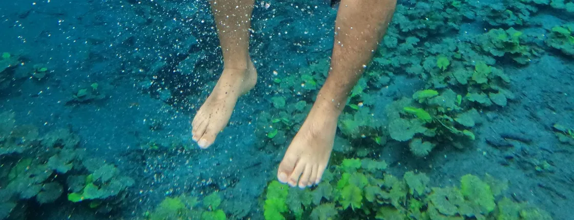 Private tour to Blue Crater, Imox Lagoon and Poza Azul