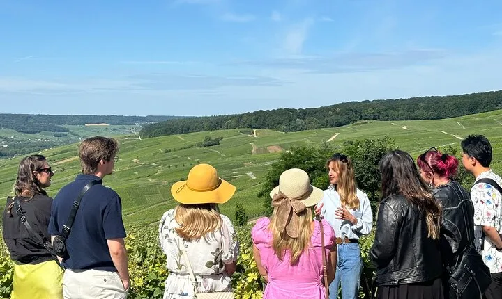 Reims: Small-Group Champagne Tour with Champagne Tastings and Lunch