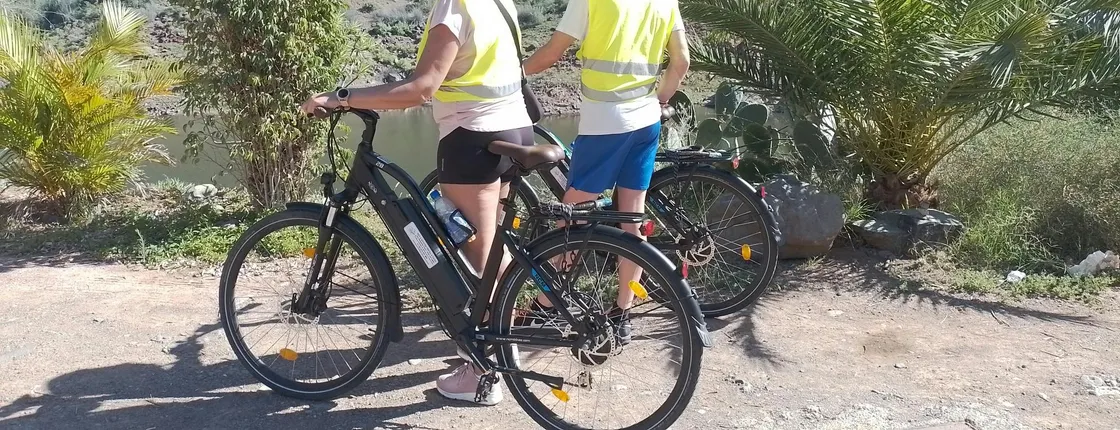 E-Bike Panoramic Mountain Tour with Optional Tapas Tasting