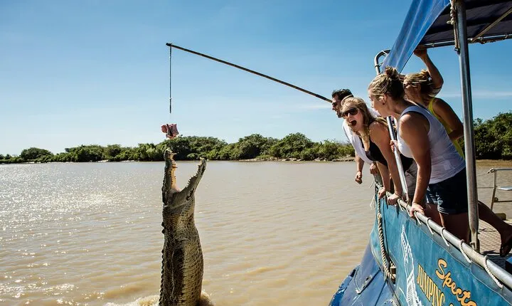 Jumping Crocodile Cruise & Berry Springs Freshwater Swimming Hole