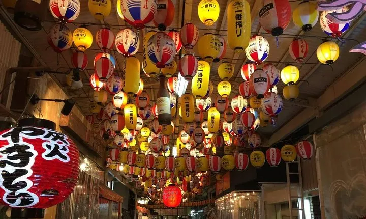 Osaka Nighttime tour 