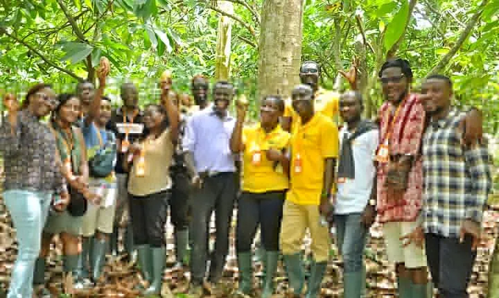 Chocolate Delights, Farm to Factory Tour In Ghana