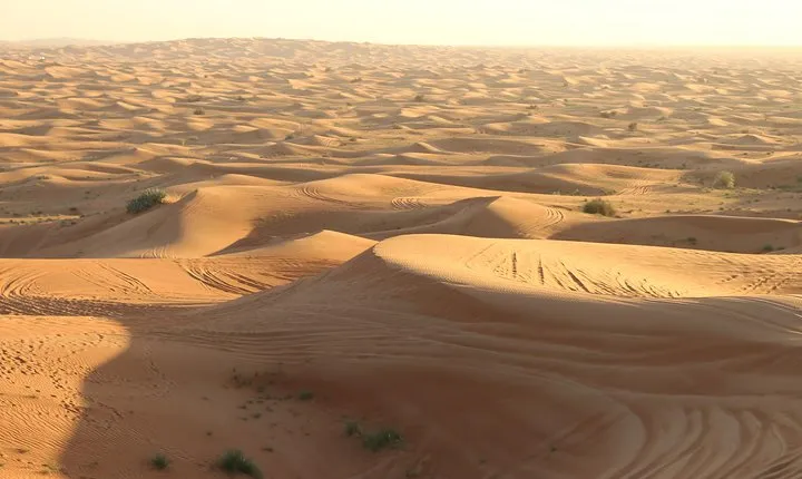 Morning Desert Safari on Red Dunes with Sand Boarding & Optional Quad Biking