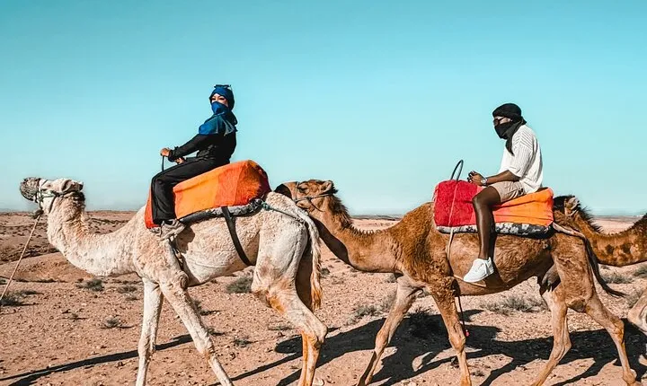 Marrakech Camel Ride and Traditional Dinner in Agafay Desert