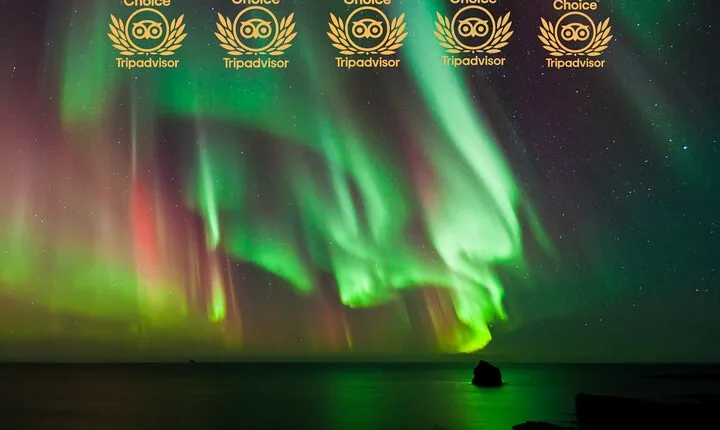 Northern Lights Tour In Iceland from Reykjavik with PRO photos