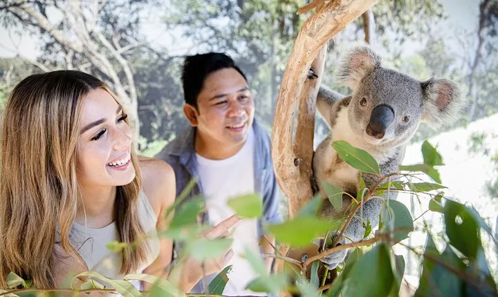 Sydney Zoo General Entry Admission Ticket