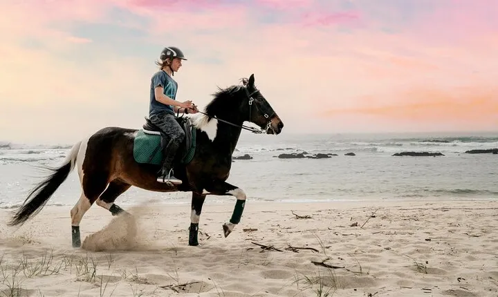 Viana do Castelo Horseback Riding Tour with Transport from Porto / Braga