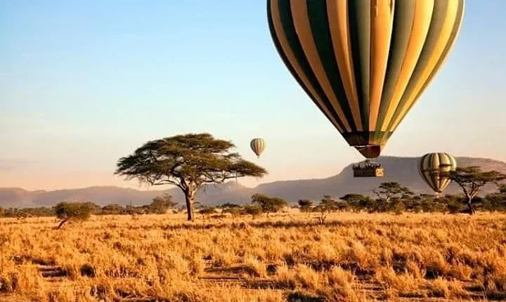 5days Tarangire,Serengeti,ngorongoro Crater and Lake Manyara National park