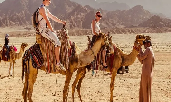 Super Safari Quad Bike, Jeep, Bedouin, Dinner & Show - Marsa Alam