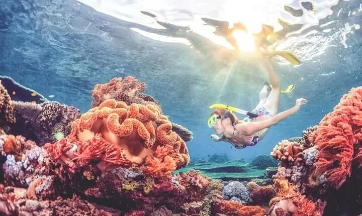 Bali Snorkeling at Blue Lagoon and Tanjung Jepun