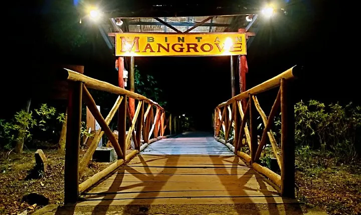 Bintan Fireflies Discovery Tour
