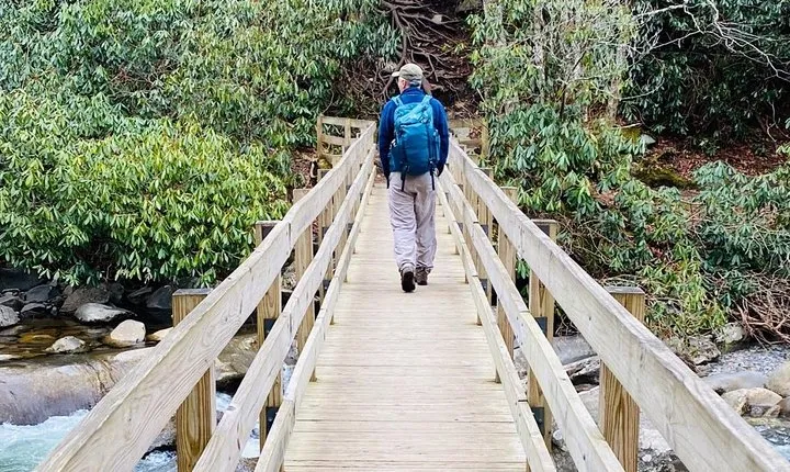 Thundering Streams and Falls of the Smokies Guided Hiking Tour
