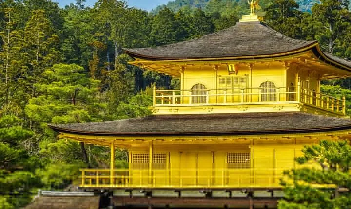 Shore excursion: Full Day Private Kyoto Tour From Osaka/Kobe Port