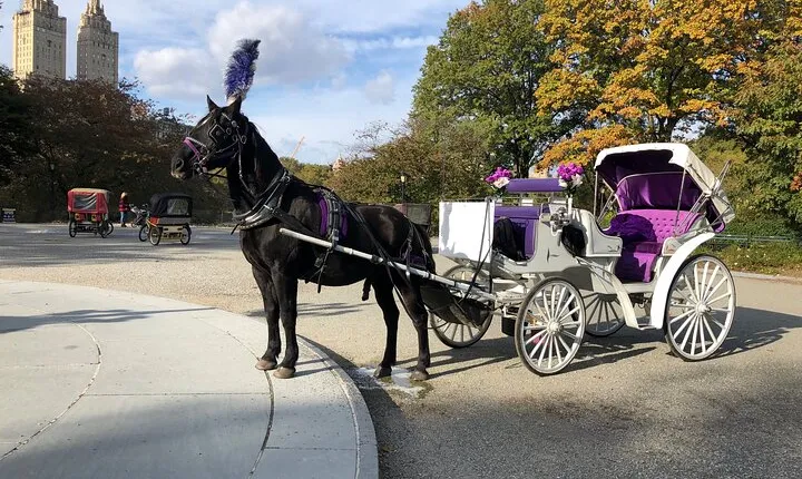 Central Park Horse Carriage Rides Since 2005
