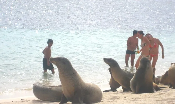 8-Day Galapagos Full Adventure Tour: Snorkel, Diving, Hiking, Bikes & Kayaking
