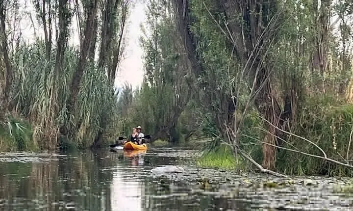 3 Hours of Kayaking at the Ancient Canals of Xochimilco